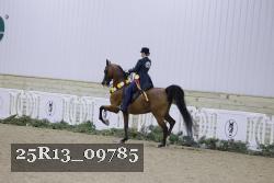 25R13_09785 thumbnail