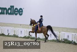 25R13_09786 thumbnail