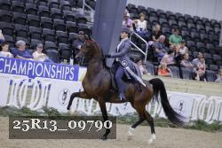 25R13_09790 thumbnail