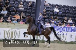 25R13_09791 thumbnail