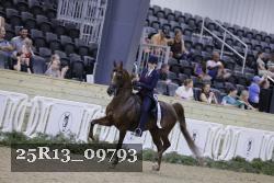 25R13_09793 thumbnail
