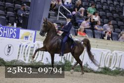 25R13_09794 thumbnail