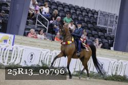 25R13_09796 thumbnail