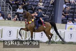 25R13_09799 thumbnail