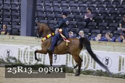 25R13_09801 thumbnail