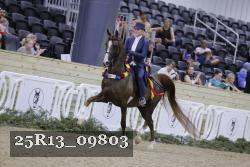 25R13_09803 thumbnail