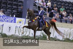 25R13_09804 thumbnail