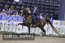25R13_09805 thumbnail