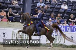 25R13_09806 thumbnail