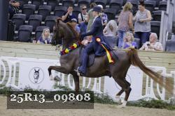 25R13_09808 thumbnail