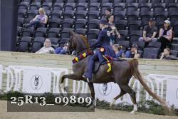 25R13_09809 thumbnail