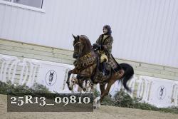 25R13_09810 thumbnail