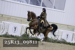 25R13_09811 thumbnail