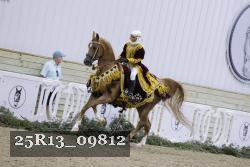 25R13_09812 thumbnail