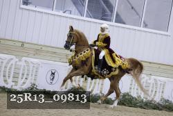 25R13_09813 thumbnail