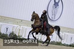 25R13_09814 thumbnail