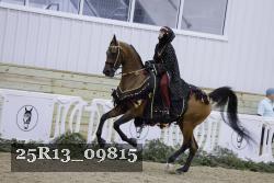 25R13_09815 thumbnail