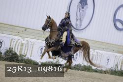 25R13_09816 thumbnail
