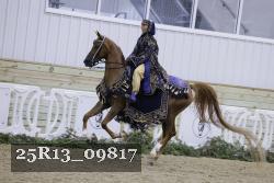 25R13_09817 thumbnail