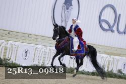 25R13_09818 thumbnail