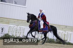 25R13_09819 thumbnail