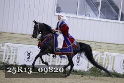 25R13_09820 thumbnail