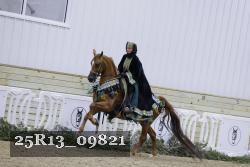 25R13_09821 thumbnail