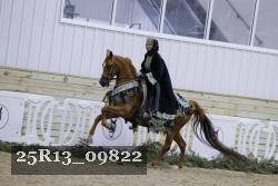 25R13_09822 thumbnail
