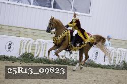 25R13_09823 thumbnail