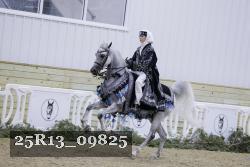 25R13_09825 thumbnail