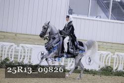 25R13_09826 thumbnail