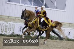 25R13_09828 thumbnail