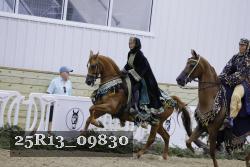 25R13_09830 thumbnail