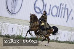 25R13_09831 thumbnail