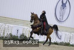 25R13_09832 thumbnail