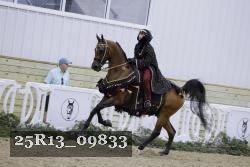 25R13_09833 thumbnail