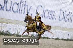 25R13_09836 thumbnail