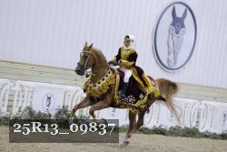 25R13_09837 thumbnail