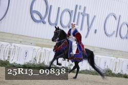 25R13_09838 thumbnail
