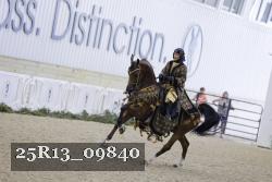 25R13_09840 thumbnail