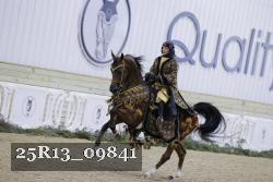 25R13_09841 thumbnail