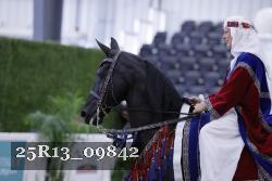 25R13_09842 thumbnail