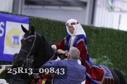 25R13_09843 thumbnail