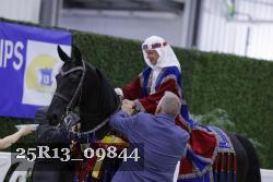 25R13_09844 thumbnail