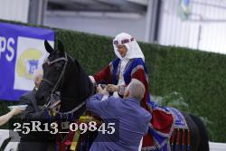 25R13_09845 thumbnail
