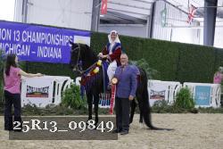 25R13_09849 thumbnail