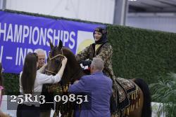 25R13_09851 thumbnail