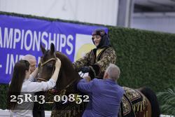 25R13_09852 thumbnail