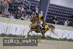 25R13_09871 thumbnail