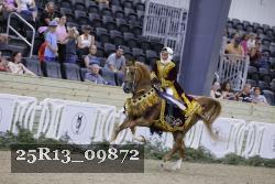 25R13_09872 thumbnail